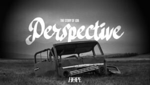 Perspective